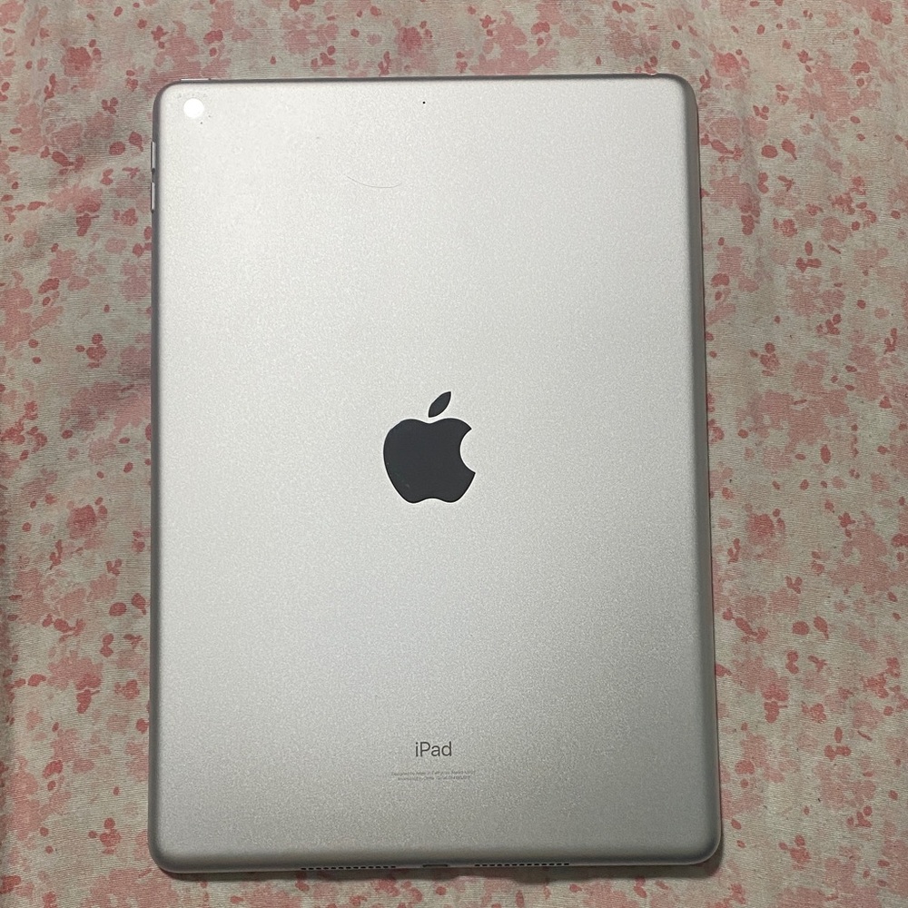 Apple Tablet - Sleek Silver Finish